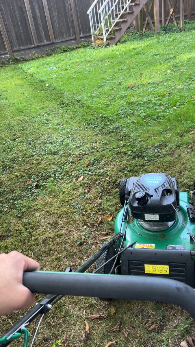 Nothing resets me like the smell of fresh cut grass.