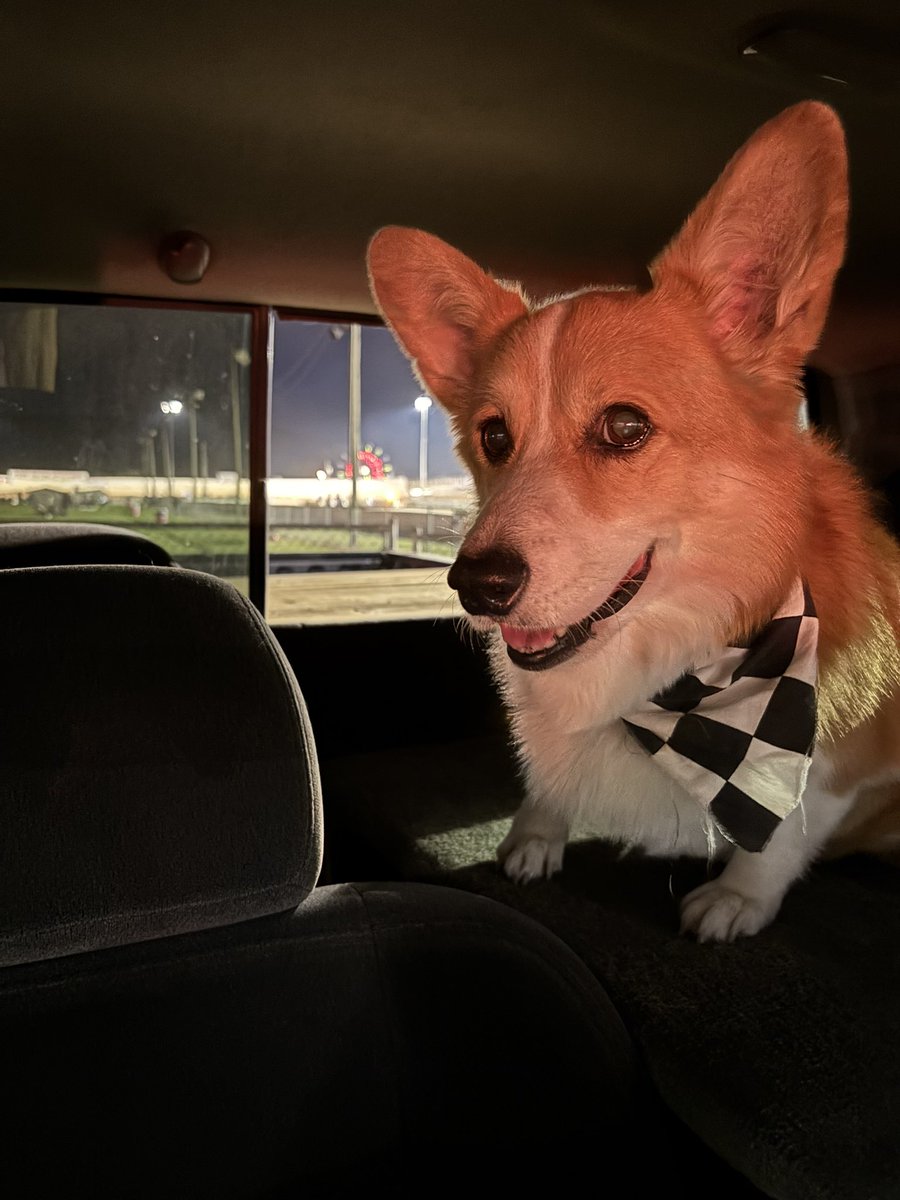 PushCorgi's tweet image. Push truckin’ 😊🛻🐾