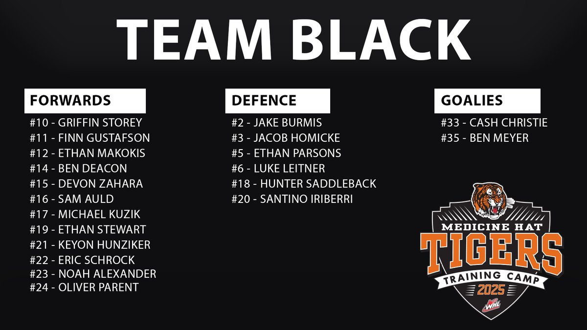 The rosters are set for the Top 40 Intrasquad Game!

Puck drop: 10:30 AM Sunday August 31, 2025