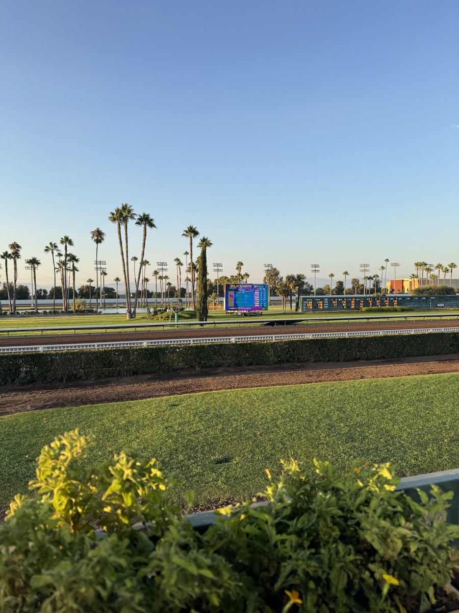 Saturday picks @LosAlRacing coming up.
R1: 8-7-1
R2: 1-7-5
R3: 3-5-2
R4: 6-3-1
R5: 3-4-1
R6: 7-1-6
R7: 4-5-3
R8: 6-2-4
R9: 3-5-7

📺: <a href="/FanDuelTV/">FanDuel TV</a> 
Pick4 tickets &amp; more: <a href="/FanDuel_Racing/">FanDuel Racing</a> 

Racing.FanDuel.Com