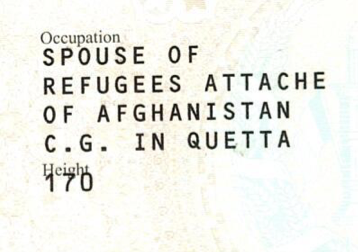 Housewives of the Taliban

Wife #4: Feroza Zaeef

Included is the photograph from her diplomatic passport, alongside the section listing her Taliban husband’s official posting in Quetta as “Refugee Attaché.” That’s telling—since we know exactly what the Taliban do to real