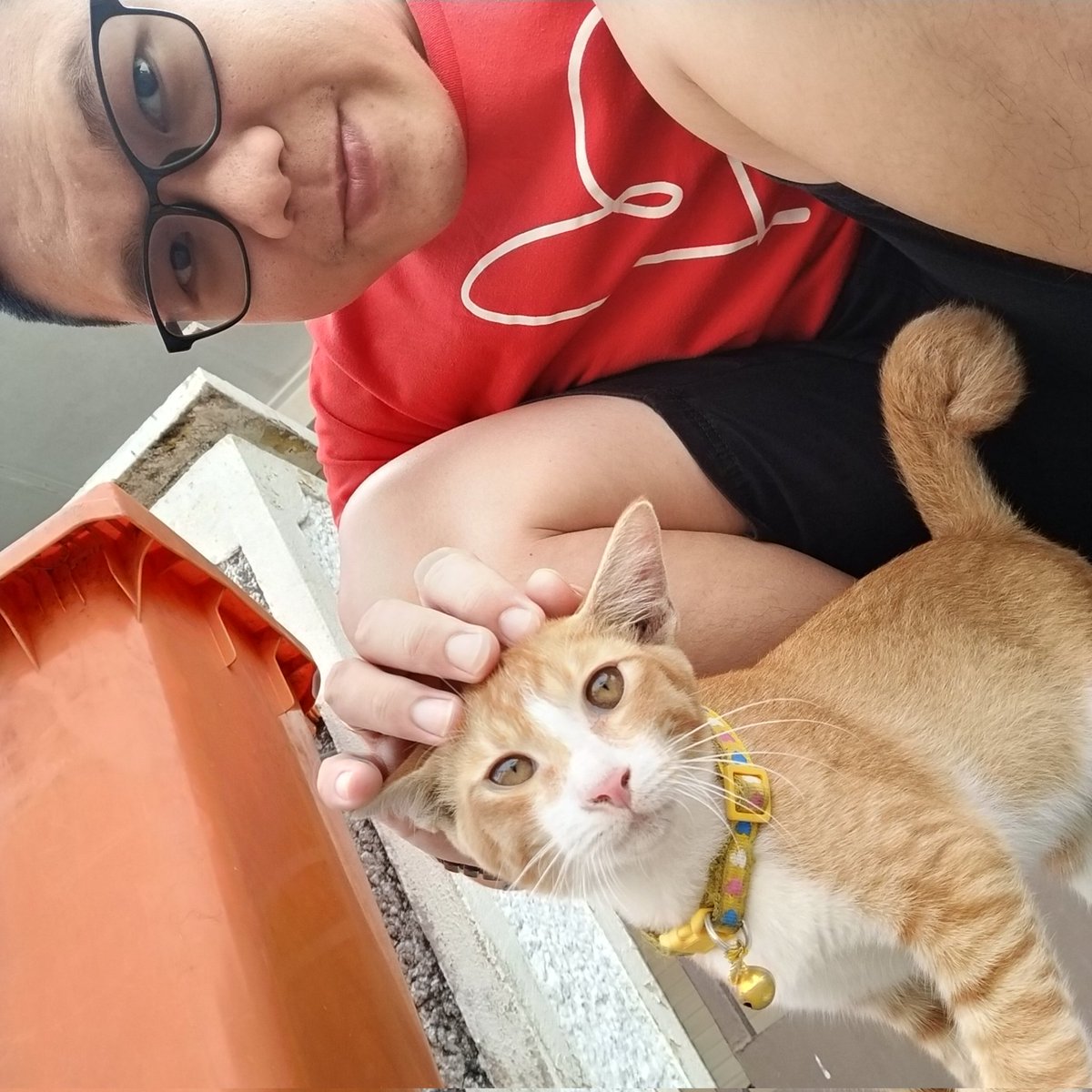 today is a good day 😻