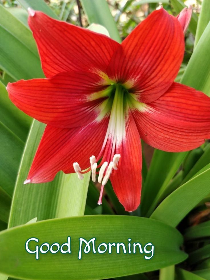 <a href="/AneCastrodaSil3/">Anecastrodasilva</a>