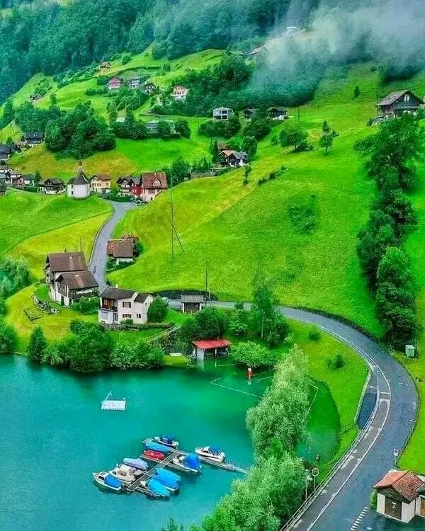 HarveyThom46645's tweet photo. Switzerland https://t.co/PV9MFK4yWU
