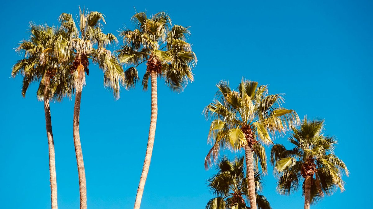 Budget Travel tweet media