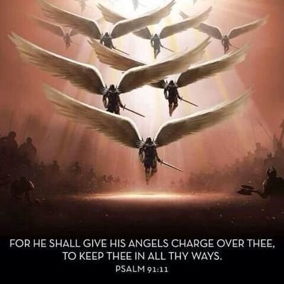 CAFFREY_USA's tweet photo. #IrishRomanCatholicUSA
#catholictwitter
#RomanCatholic
#CatholicDiocese
#dioceses
#KnightsOfColumbus https://t.co/qrEU9DTbrd