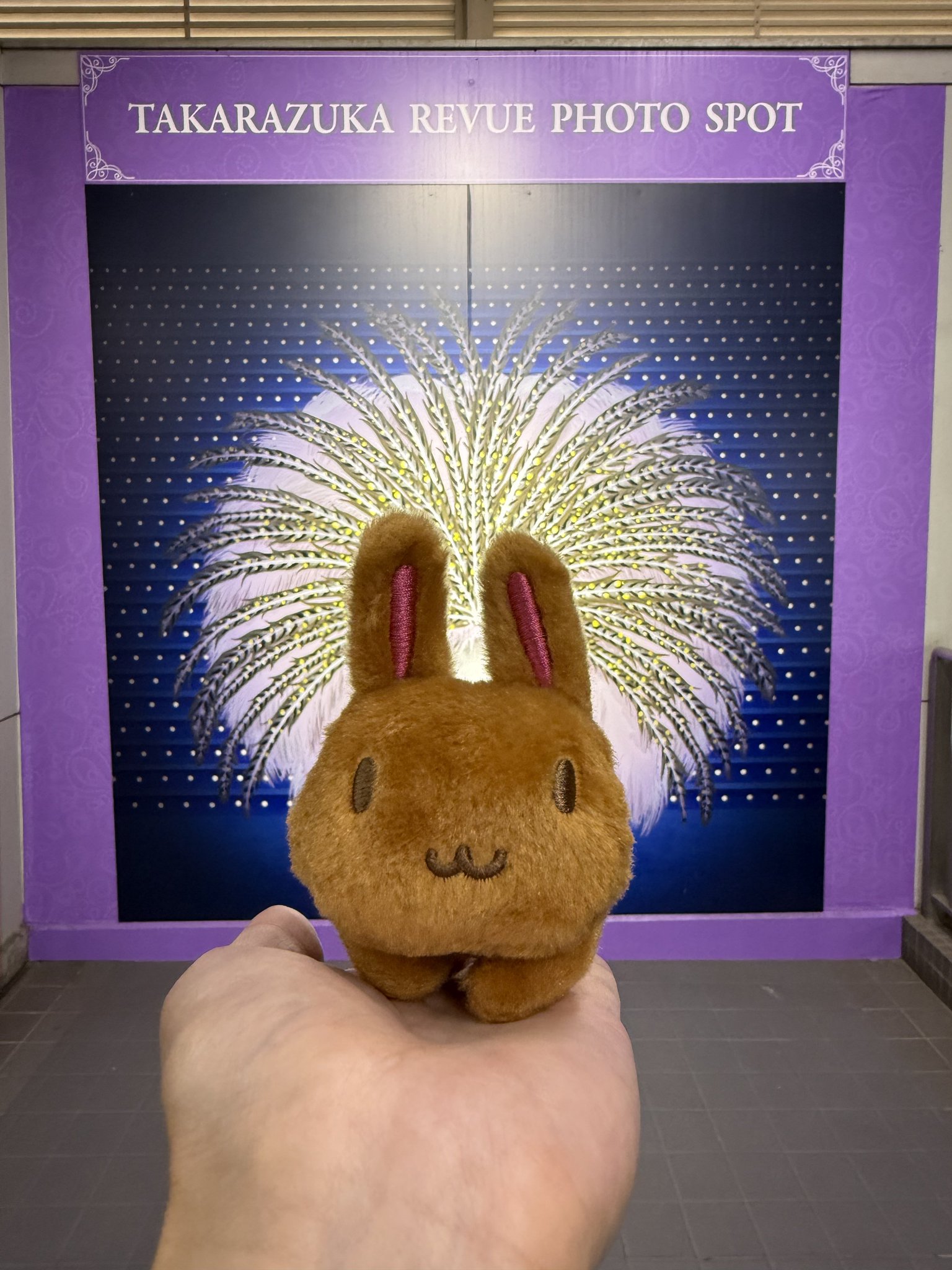 ミミちゃん hqdefault.jpg