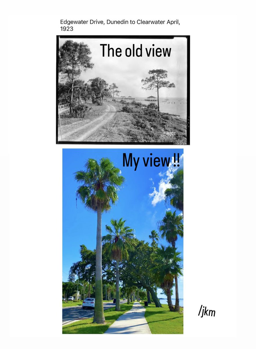 jkmartin16's tweet image. Amazing transformation over the years! 🩵 #EdgewaterDrive #HistoricScenicRoute #FloridaGirl