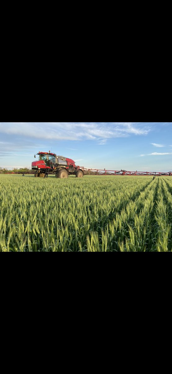 ennsagventures's tweet photo. @kperlik We have been running a 2014 4430 case for 5yrs now, has 4,000hrs on it now and has been a solid machine that’s not showing any signs of slowing down. https://t.co/KHEHrIlXje