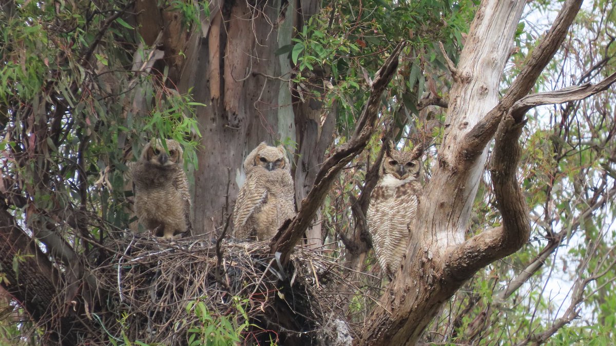 Ingeniero Maschwitz, Provincia de Buenos Aires, Argentina.
