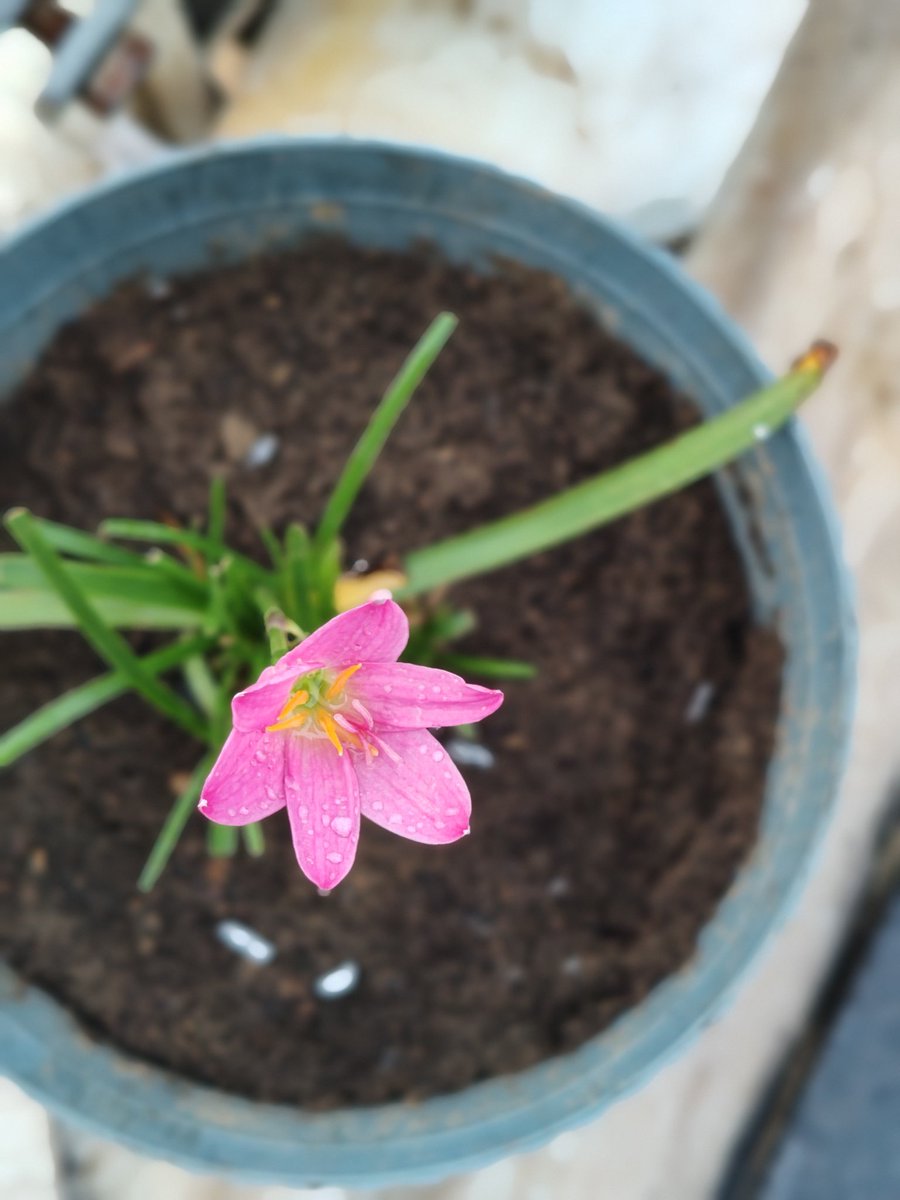 आज रविवार है और छुट्टी का दिन है तो कृपया आप सब लोग एक दूसरे को फॉलो जरूर करे।🙏 
<a href="/Manish_Ramsa/">Manish Ramawat</a>