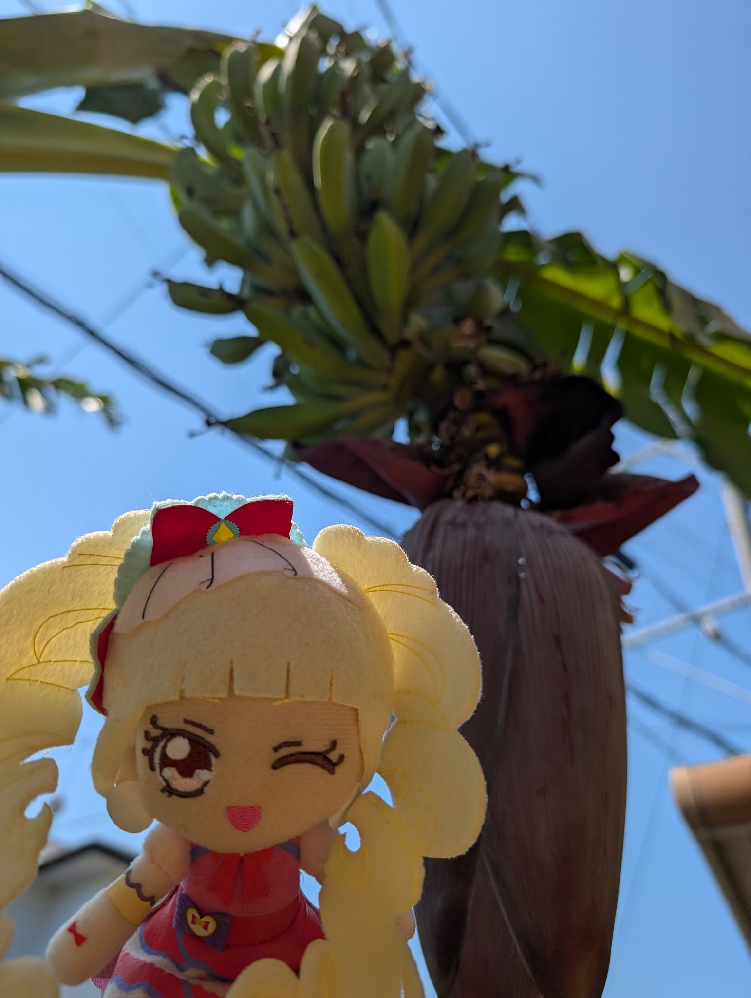 くりぃみー優♏♡まみ♡”9/6田村ゆかり LOVE ♡ LIVE 2025*W.H