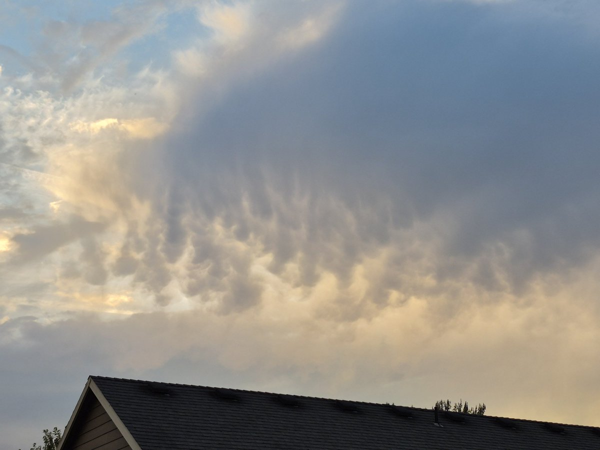 chriscabe3's tweet image. Very faded #mammatus clouds over #greshamOR #sunset #orwx @major_weather