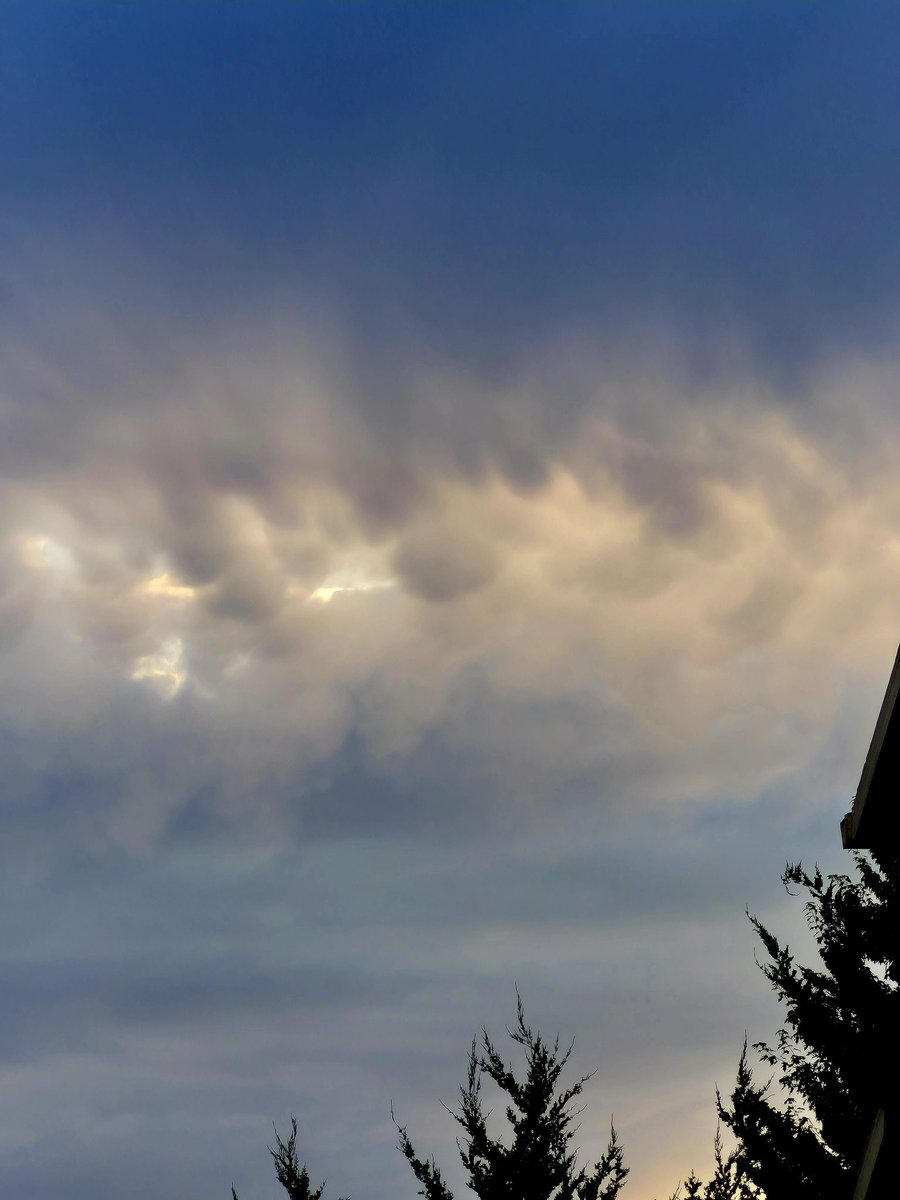 chriscabe3's tweet image. Very faded #mammatus clouds over #greshamOR #sunset #orwx @major_weather
