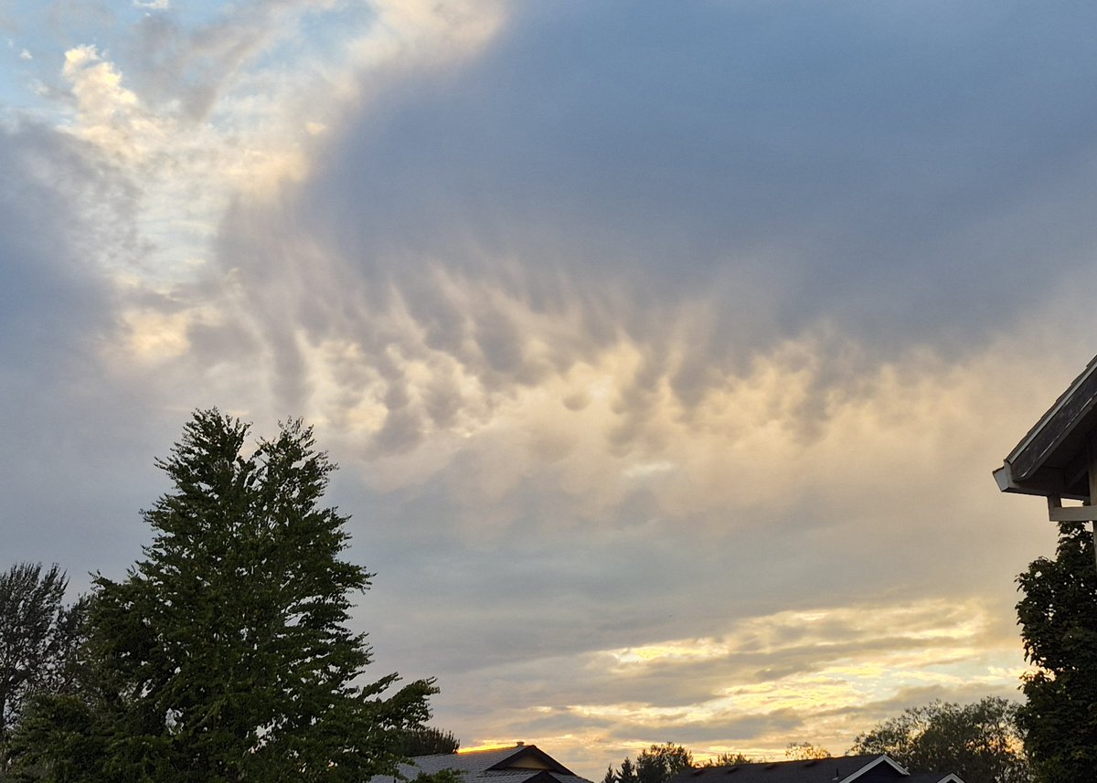 chriscabe3's tweet image. Very faded #mammatus clouds over #greshamOR #sunset #orwx @major_weather