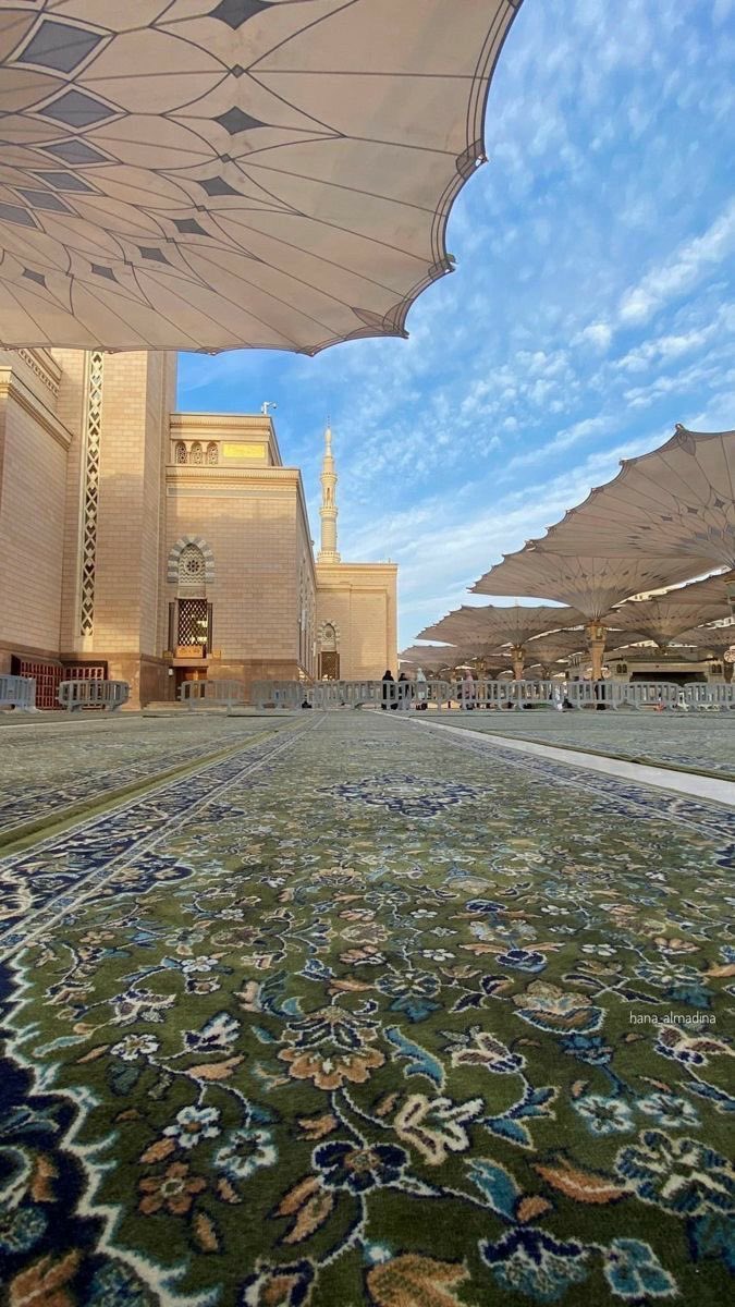 صباحات المدينة تغمرها السكينة
أجمل صباح في الدنيا
صباح المسجد النبوي الشريف 🍃
 يتحدثون عن جمال الغرب والشرق ..
نُحن نحدثكم :
عن  "المدينه المنوره"  يكفينا فيها رسول الله ﷺ ||❤️
فيها قطعة من الجنة ..روضة 🌴

المسجد النبوي.. بهاءٌ يملأ القلب سلامًا🕌