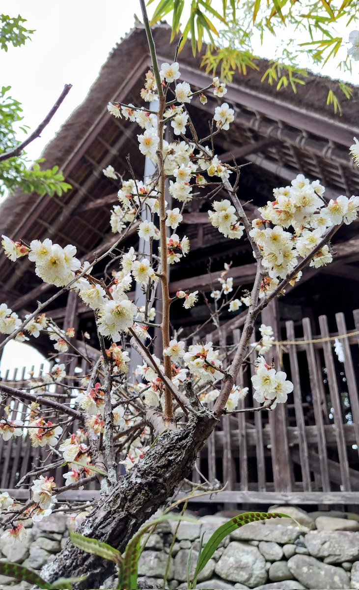 人吉・球磨の風景😁  #人吉・球磨の風景展