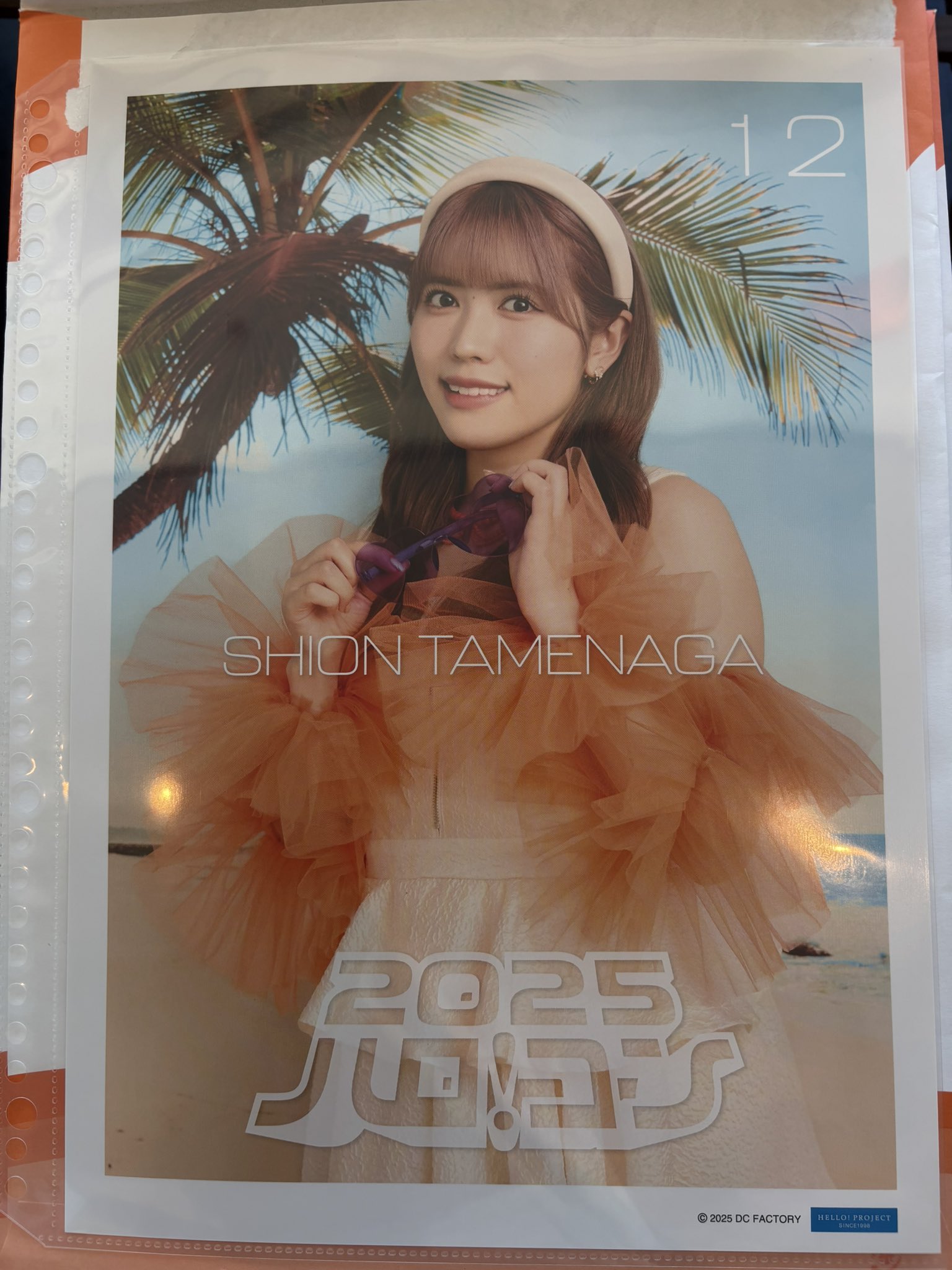 19夏ハロp2岡村ピンナップポスター ピンポス ピンポス 小野瑞歩 石井泉羽 つばきファクトリーの夏祭り2025