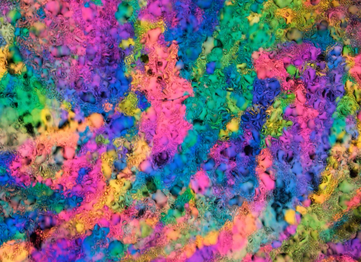 Michael Shribak tweet media