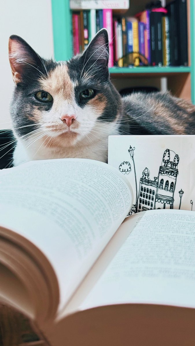 #ClubDeLectura ♥️🐾