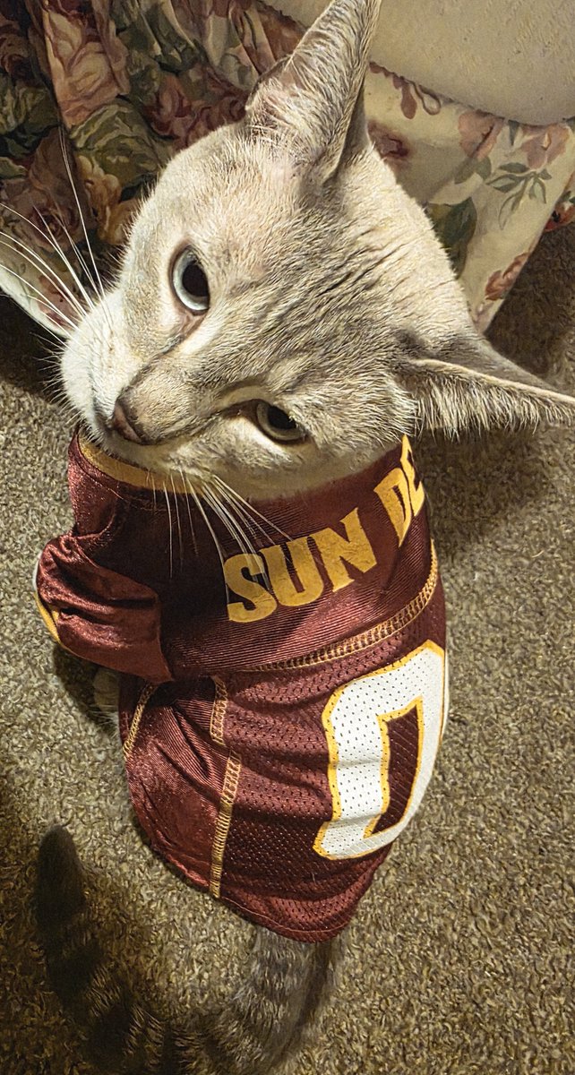 REZ_woman's tweet photo. #Jinii
#ASU #SunDevils
#CollegiateFootball 🏈
even Mantacore is ready for the First Home Game..
ASU vs. NAU https://t.co/h612i3eTYh