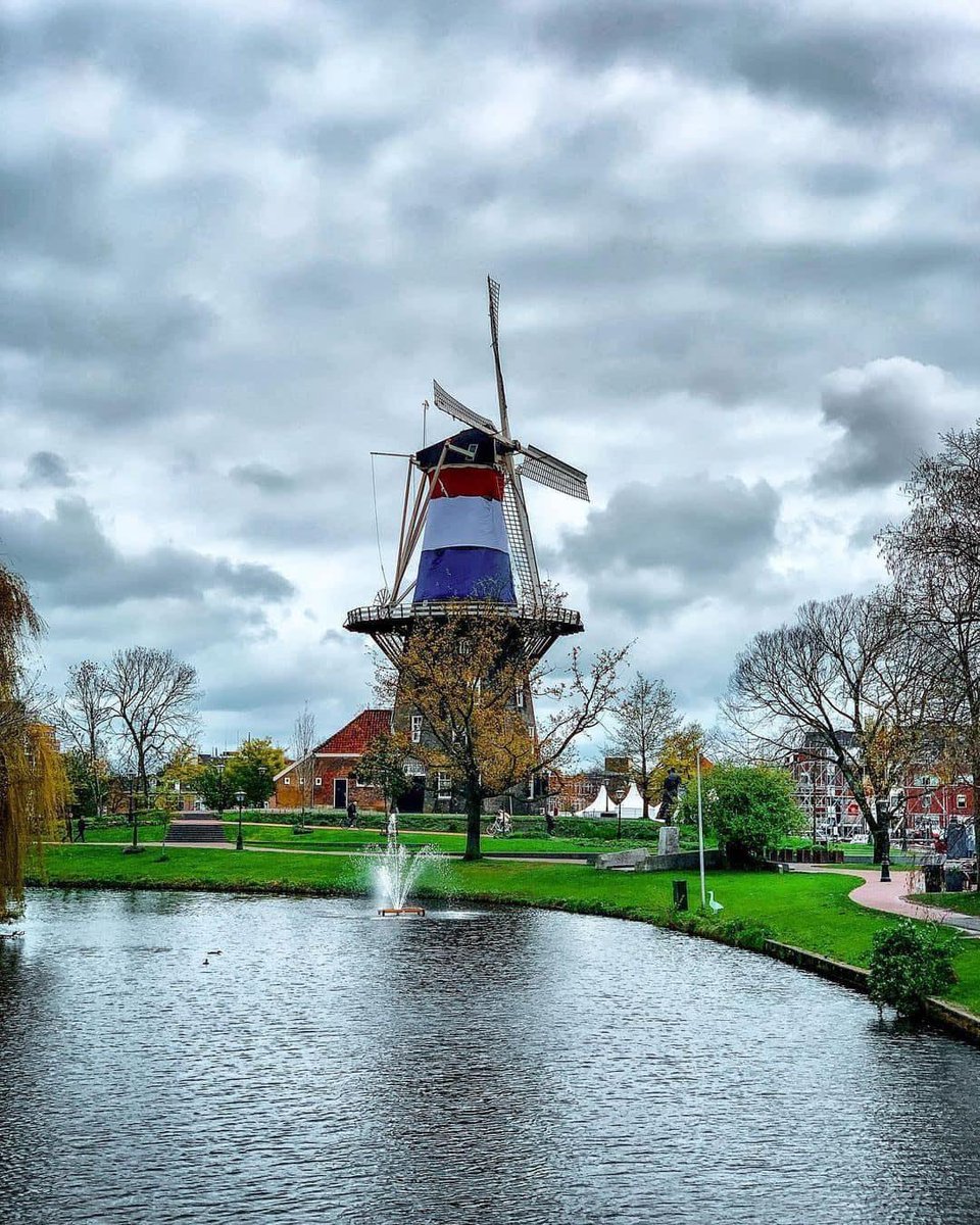 DollyM1811's tweet photo. Leiden, Netherlands https://t.co/Yl7SuiUVhi