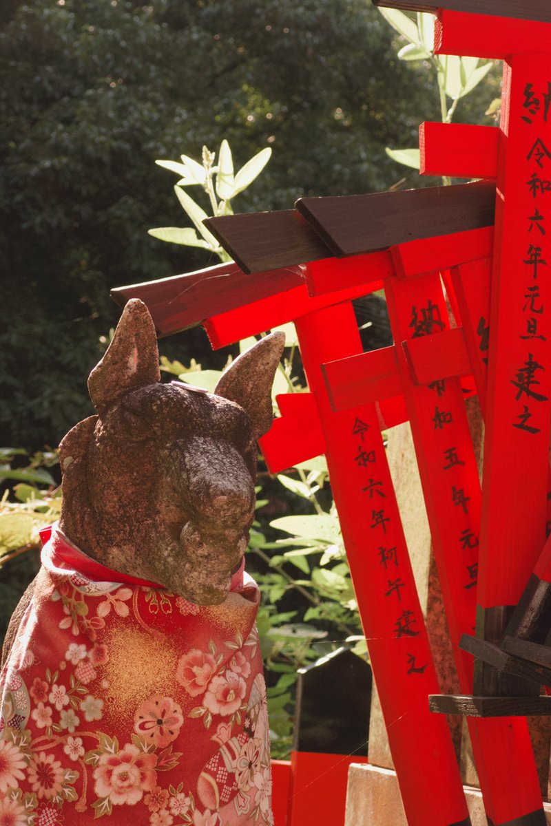 Made it all the way up Fushimi Inari Shrine… my legs did nooot sign up for this 😭