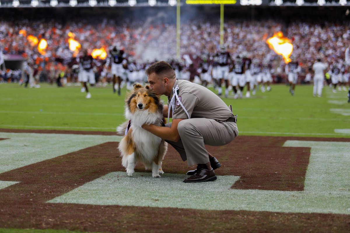There’s nothing like Kyle Field on gameday—trust me, I’ve got the best seat in the house to watch my Aggies 🏈🐾 Being back with the 12th Man gives me all the feels, and we’ve got a whole season ahead to keep it going!