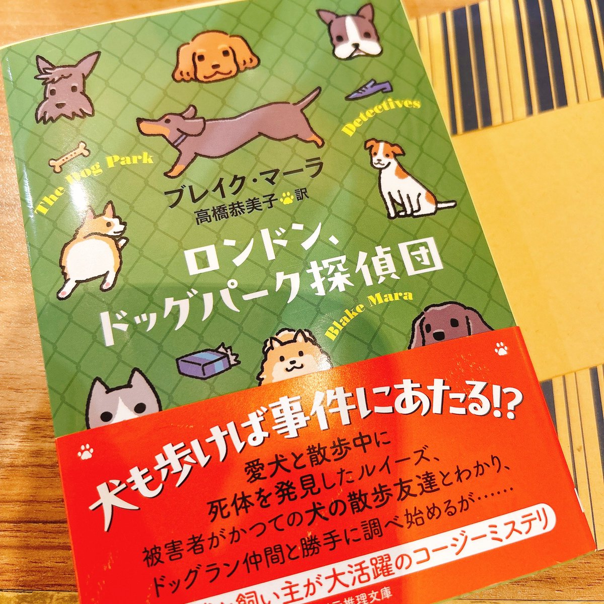 買わざるを得ない
買わざるを得ないよ可愛いもん…