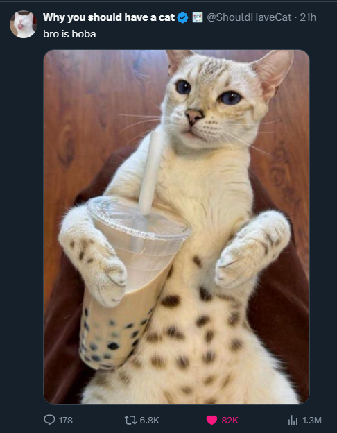 awkchelle's tweet photo. @BasiilLeaf this was right under this on my tl LOL twins https://t.co/12iKZOsZeW