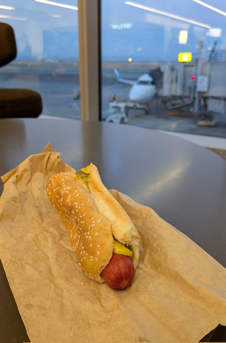 I must be a vet the way I’m putting down these dogs