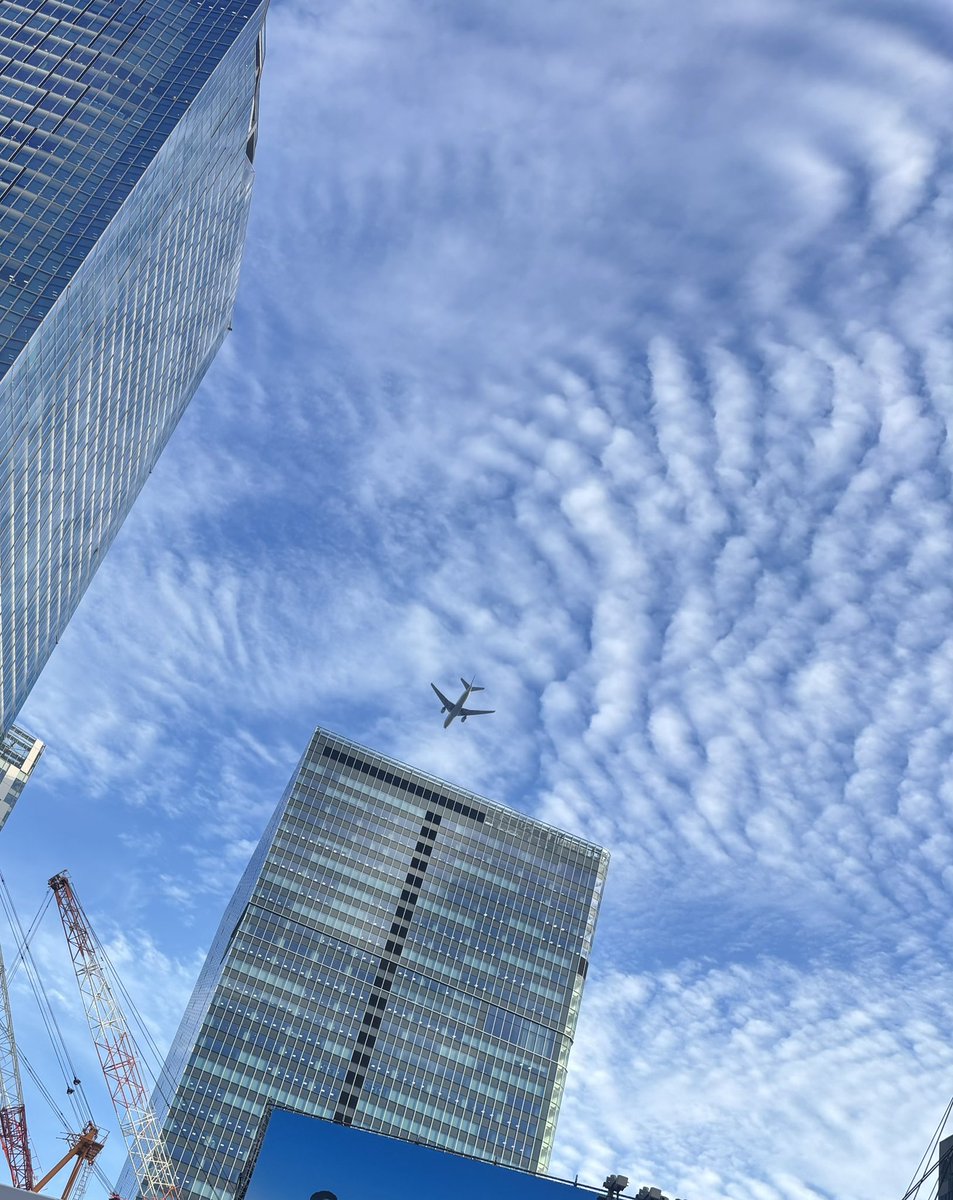 298234752ne's tweet photo. 8/29 #TargetedIndividualsday 渋谷の空は近い距離の✈️と #HAARP 雲☁️

8/30 スカイツリーの横には
#ケムトレイル 

#テクノロジー犯罪
#TIDAY https://t.co/2aCMXiooYj