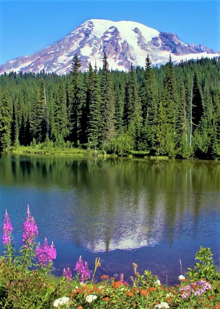 Mount Rainier,Washington-USA.