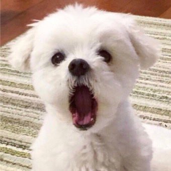 아 귀여워...귀여워귀여워귀여워