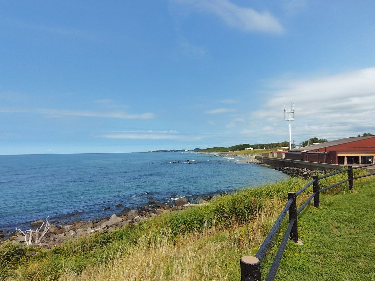 Nebe(ねべ) tweet media