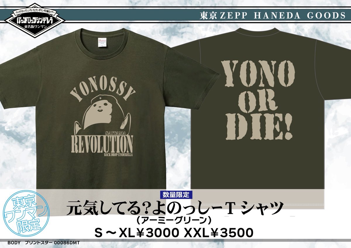 本日はツアーファイナル！ 8/31Zepp Haneda バックドロップシンデレラ