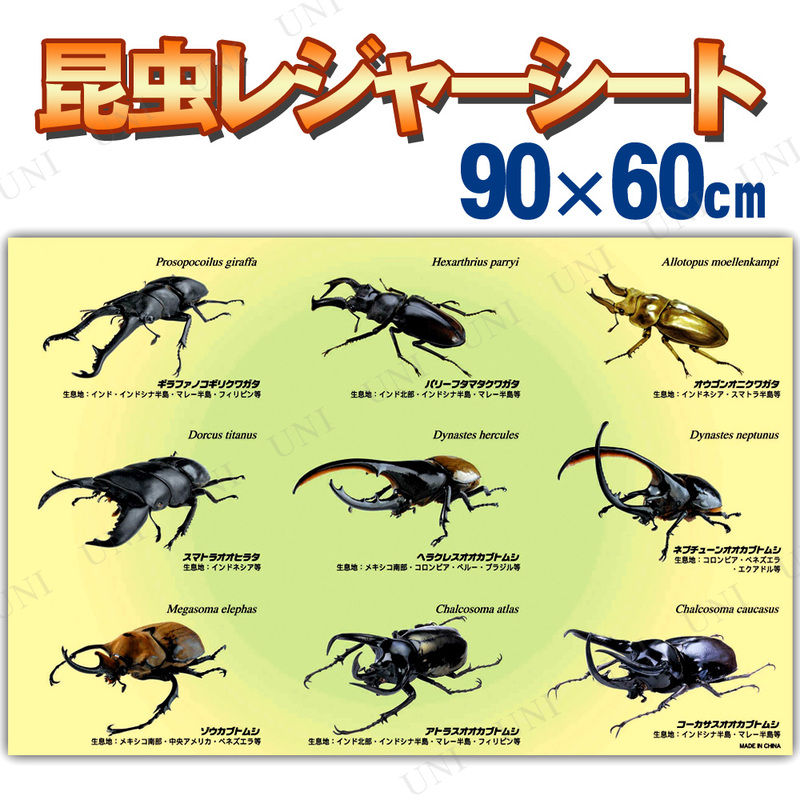 _partyworld's tweet image. ／
「✨昆虫レジャーシート 1人用 90×60cm✨」
リアルなカブトムシで遠足に最適！
＼
#InsectLeisure
#KidsFieldTrip
#RealisticDesign
⬇商品詳細URL
party-world.com/?pid=187523135