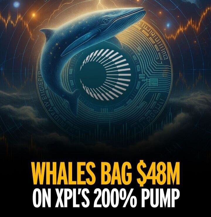 🐋 INSIGHT: Hyperliquid whales bag $48M on $XPL’s 200% pump amid manipulation claims.