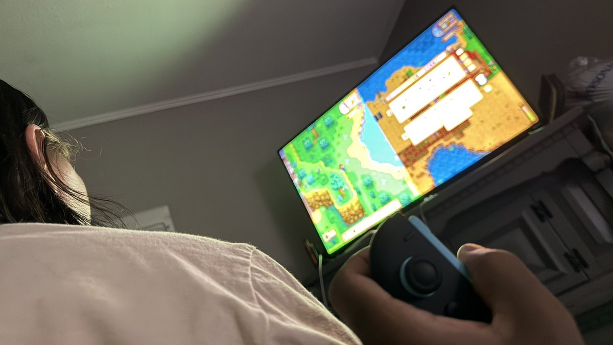 _LevelDown_'s tweet image. My girl never played games until Stardew Valley. Now i have to play with her to get any type of attention or communication. I fear I&apos;ve made a mistake