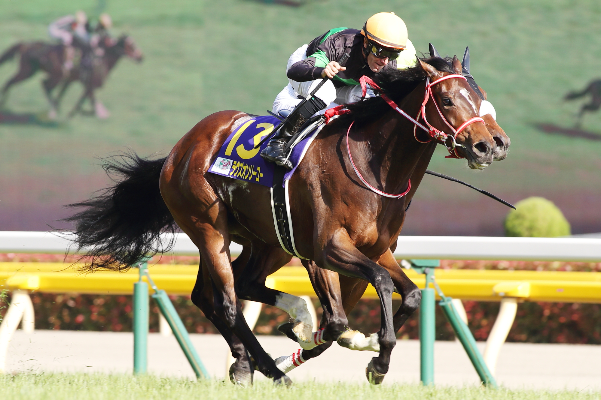 JRA VAN限定 エフフォーリア レーシングパネル JRA VAN限定 エフ