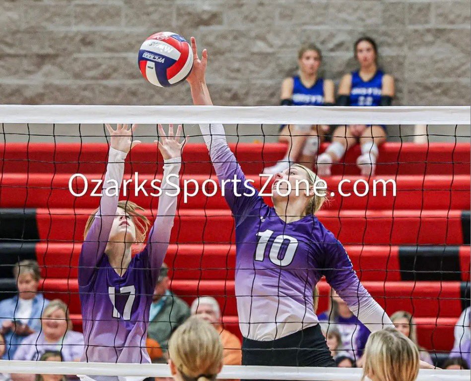 Hali Stokes tweet media