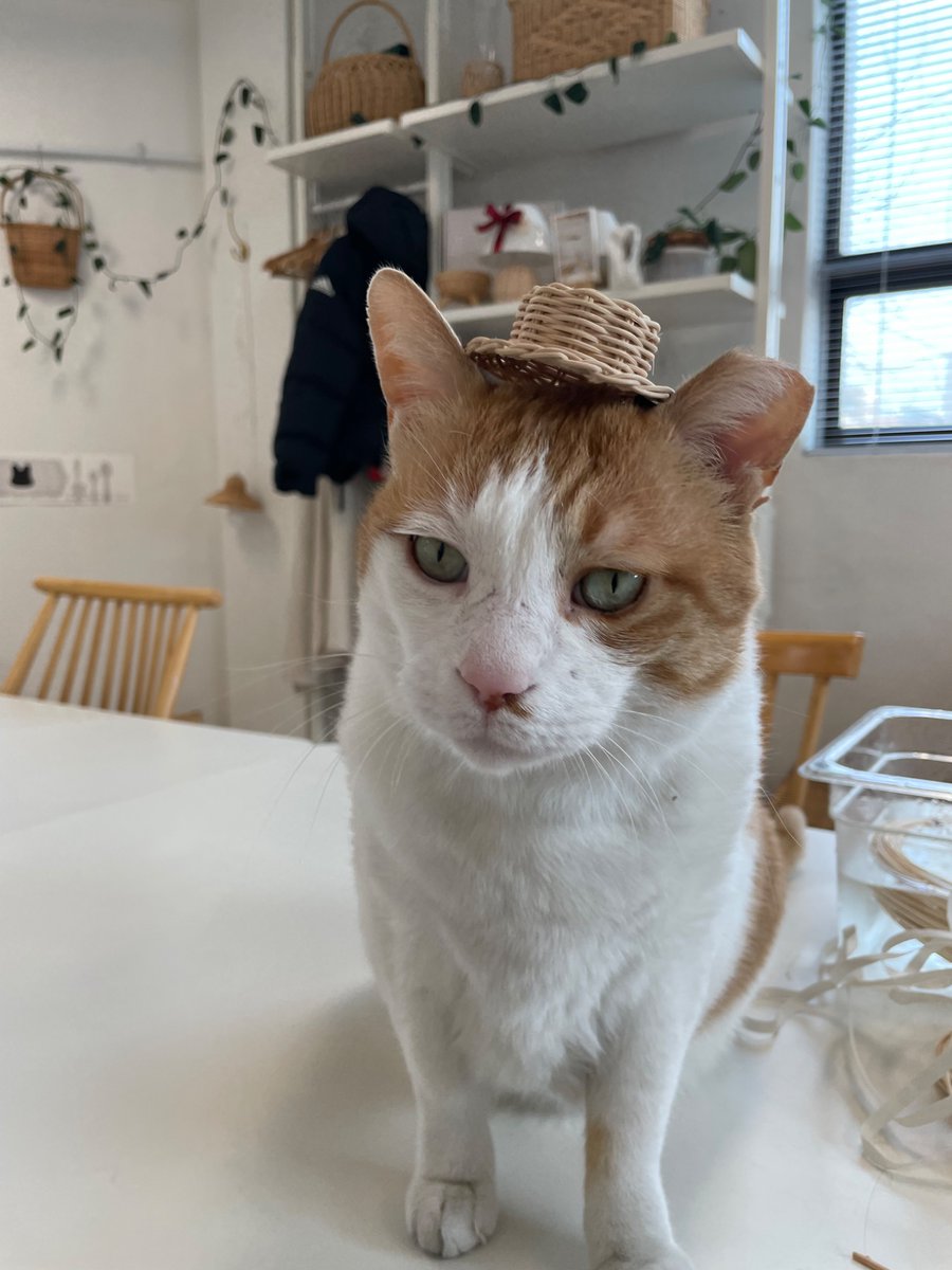 저는 라탄트레이랑 문진 가방이랑 악세사리들을 가지고갑니다(강아지 고양이용 모자도)
많은관심부탁드리고
사랑해주시고
신경써주고
두루두루 구경해주시고
놀러와주시고…..
국립극장에서 만나요🫶