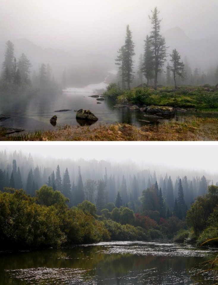 Туман обязательно рассеется и будет всё ок. 
Доброе утро, друзья! 😉✌✊