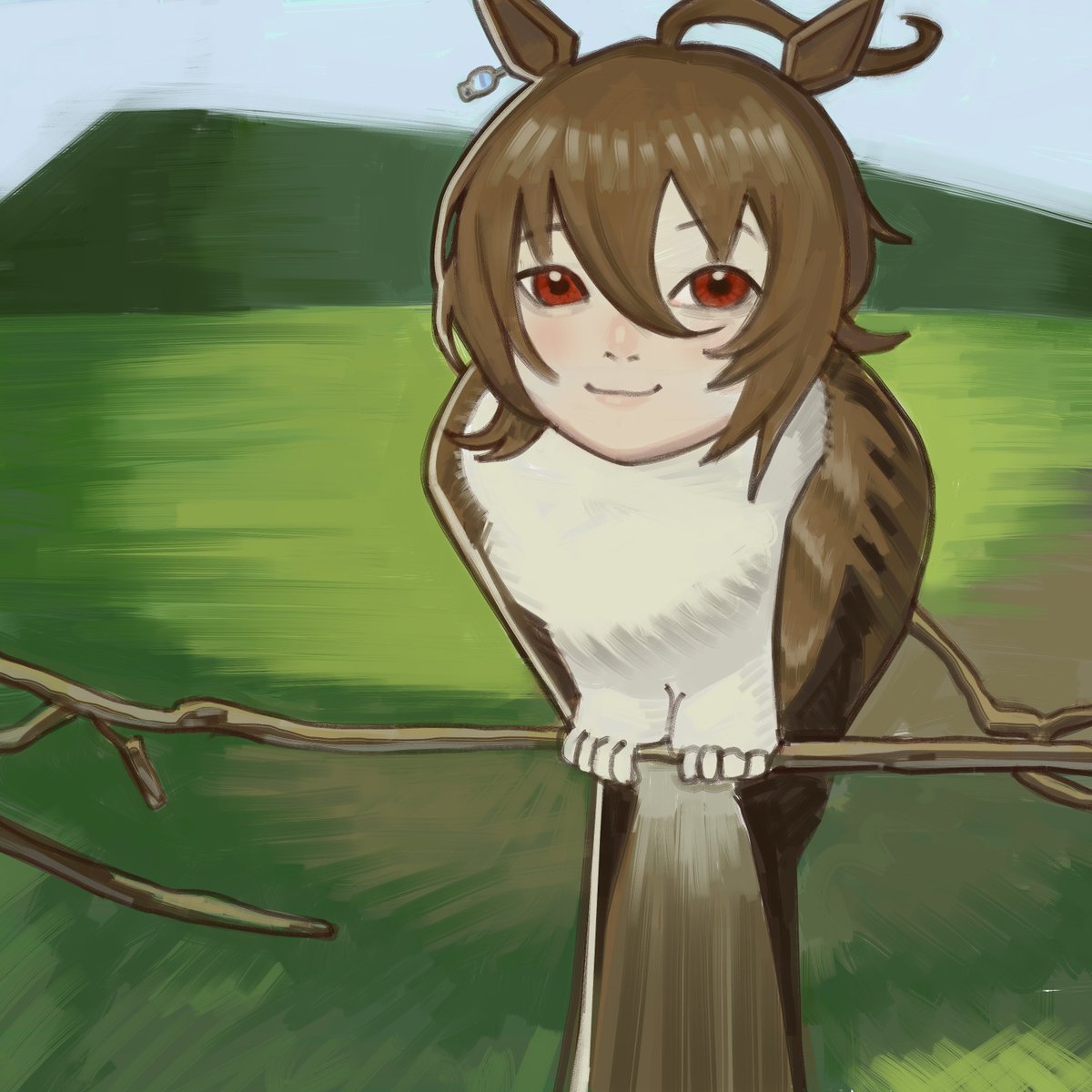 Tachyowl