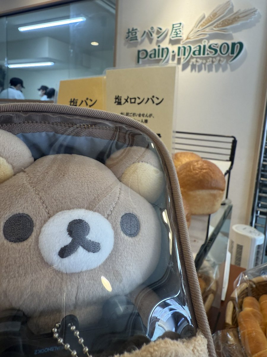 くまおくん tweet media