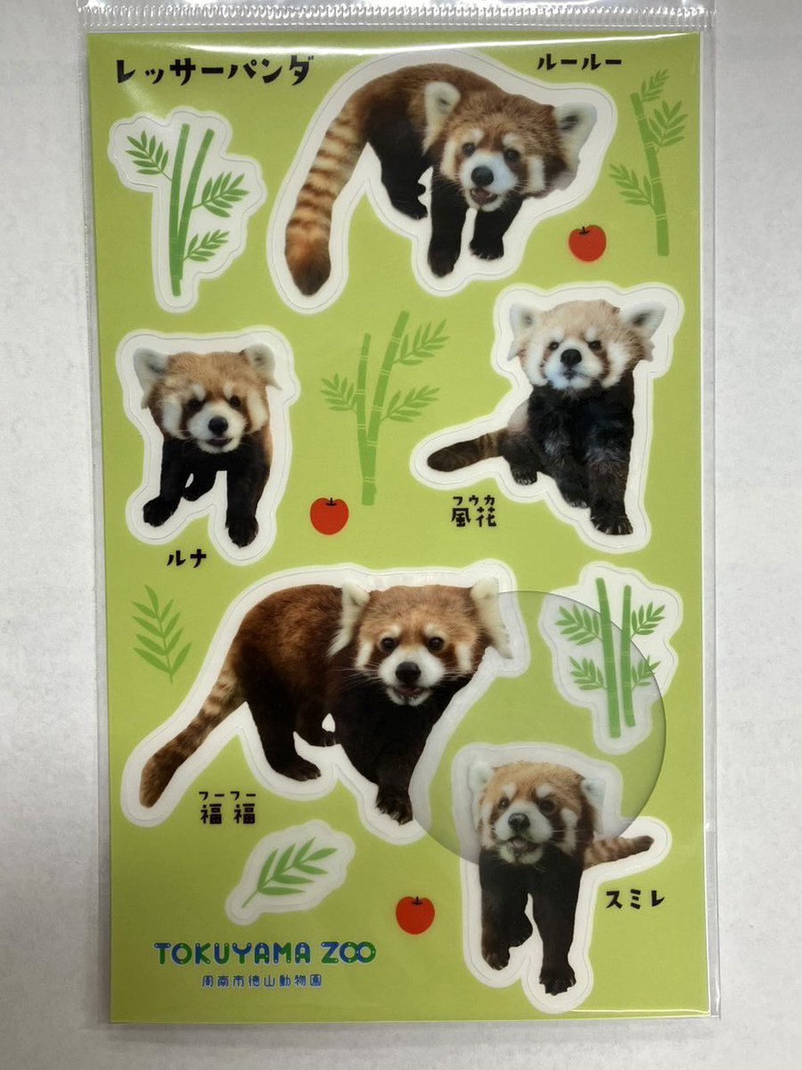 周南市徳山動物園(公式) on X: 