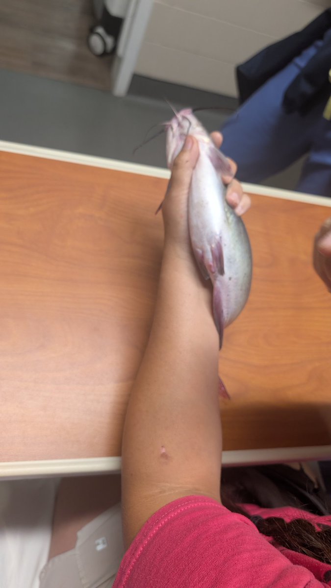 "husband you have to take me to the ER now"
-wife on phone, immediately hangs up

What was it?
FISH.