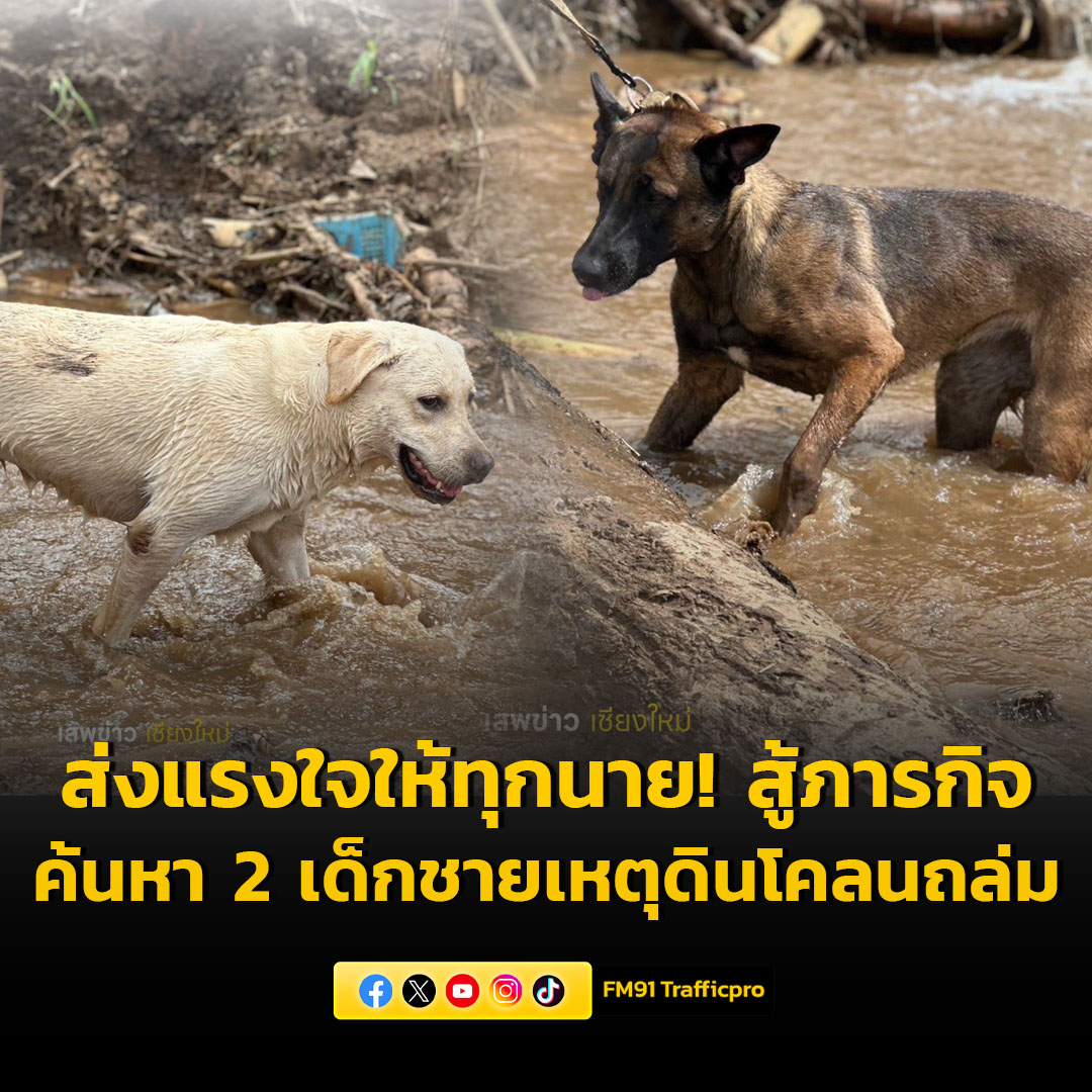 fm91trafficpro's tweet photo. ส่งแรงใจให้ทุกนาย สู้ภารกิจค้นหา 2 เด็กชาย จากเหตุดินโคลนถล่ม ที่ อ.แม่แจ่ม จ.เชียงใหม่ #FM91 

อ่านข่าวต่อ https://t.co/nT7caLSJ9G https://t.co/h5sqlFoXUV