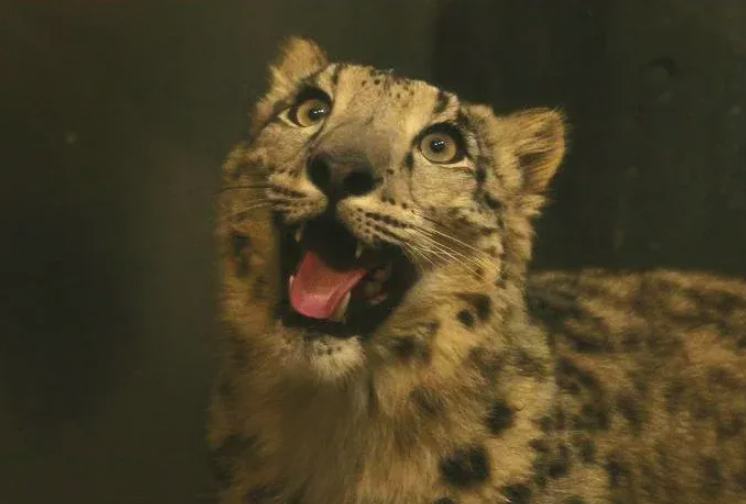 fey (@localfeyrn) on Twitter photo 