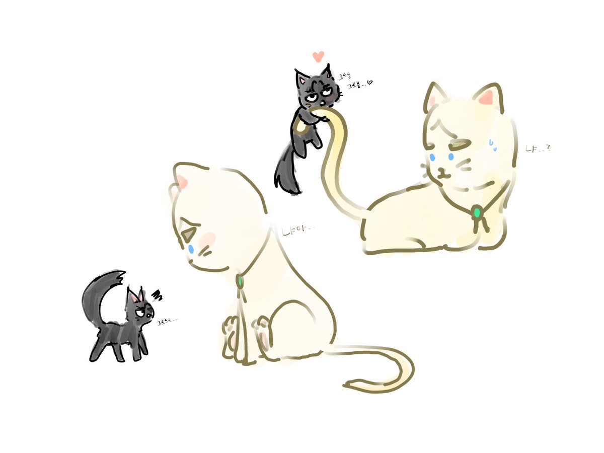 lullulullu84716's tweet photo. 고양이 에루리..
#erui https://t.co/unG36moirH